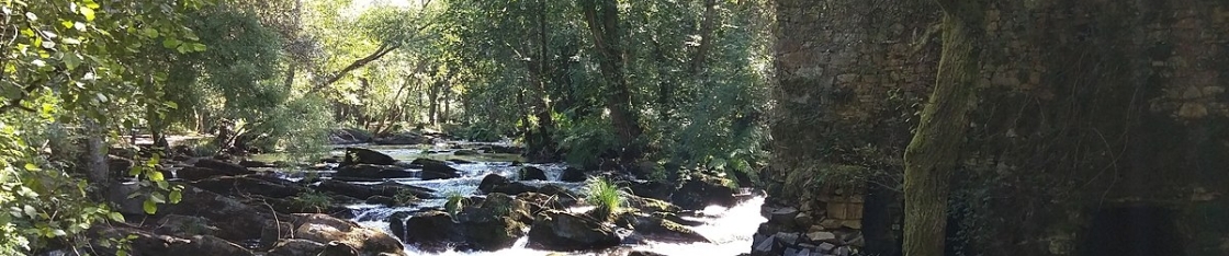 Senda do Anllóns: Un precioso paseo fluvial para visitar con la familia